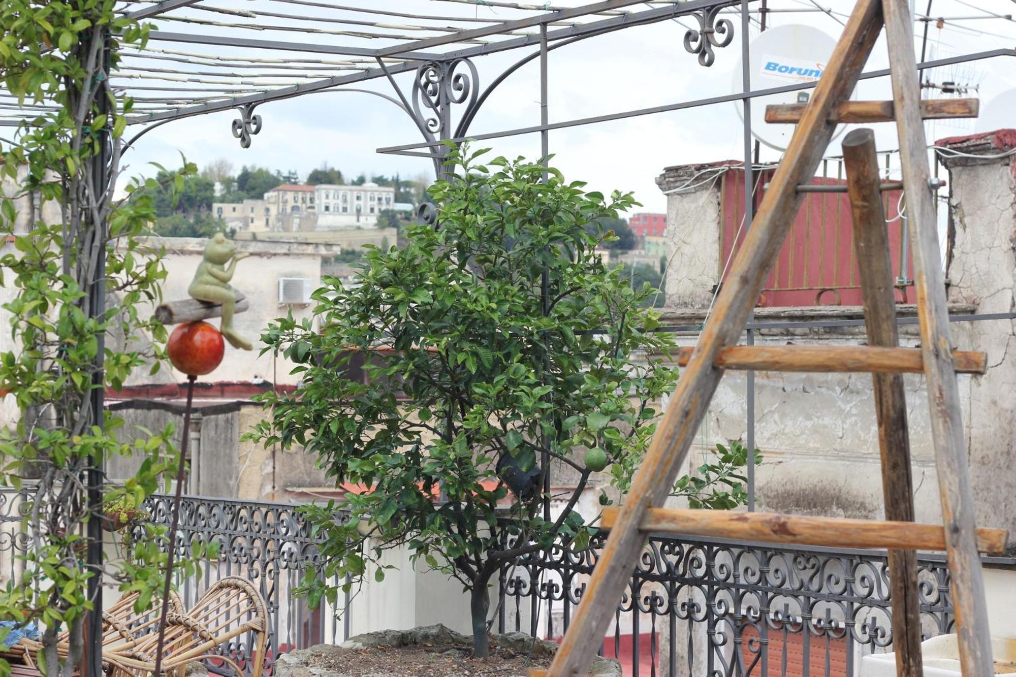 Lemon Tree Terrace Apartment Napoli Ngoại thất bức ảnh